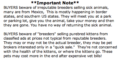 persian cat pricing alert