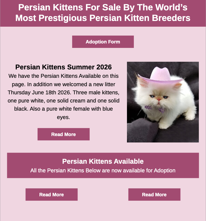 Persian Kittens Image
